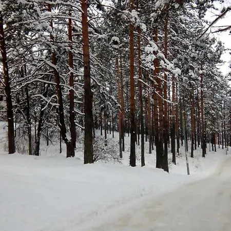 9 Gorska Zlatibor
