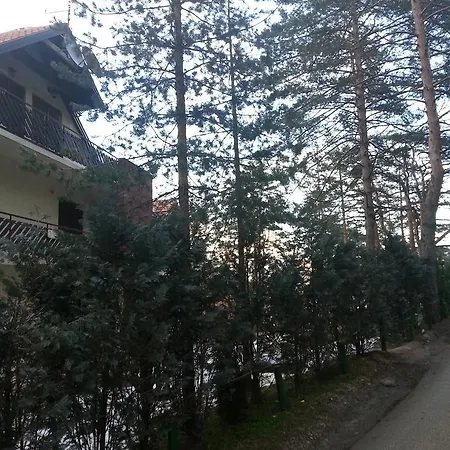 9 Gorska * Zlatibor
