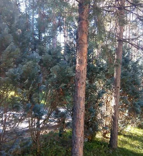 Διαμέρισμα 9 Gorska